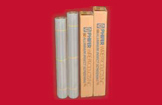 Bright Aluminyum Tül 80 x 30